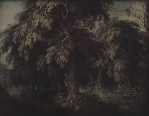 Wooded Landscape