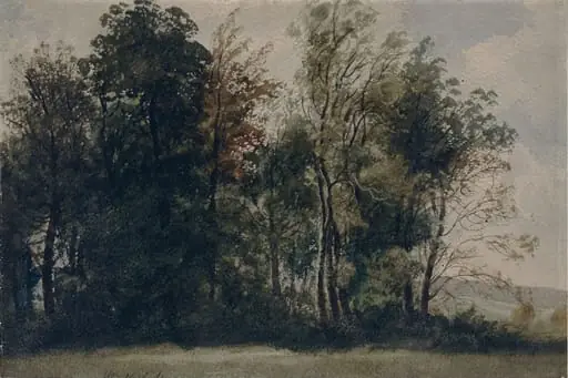 A Roadside Study, Belfast
