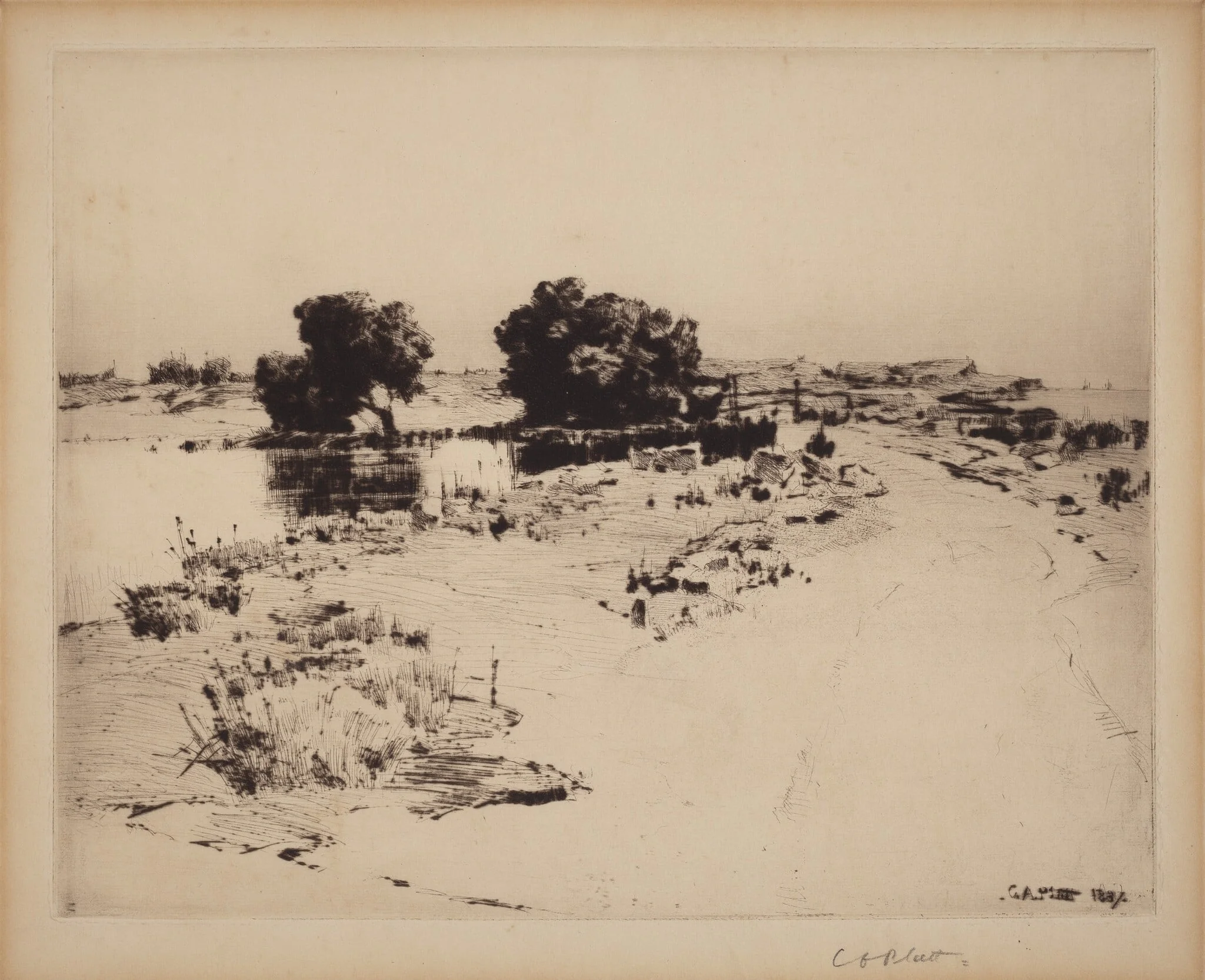 Cape Ann Willows, by Charles A. Platt, ink, 1887
