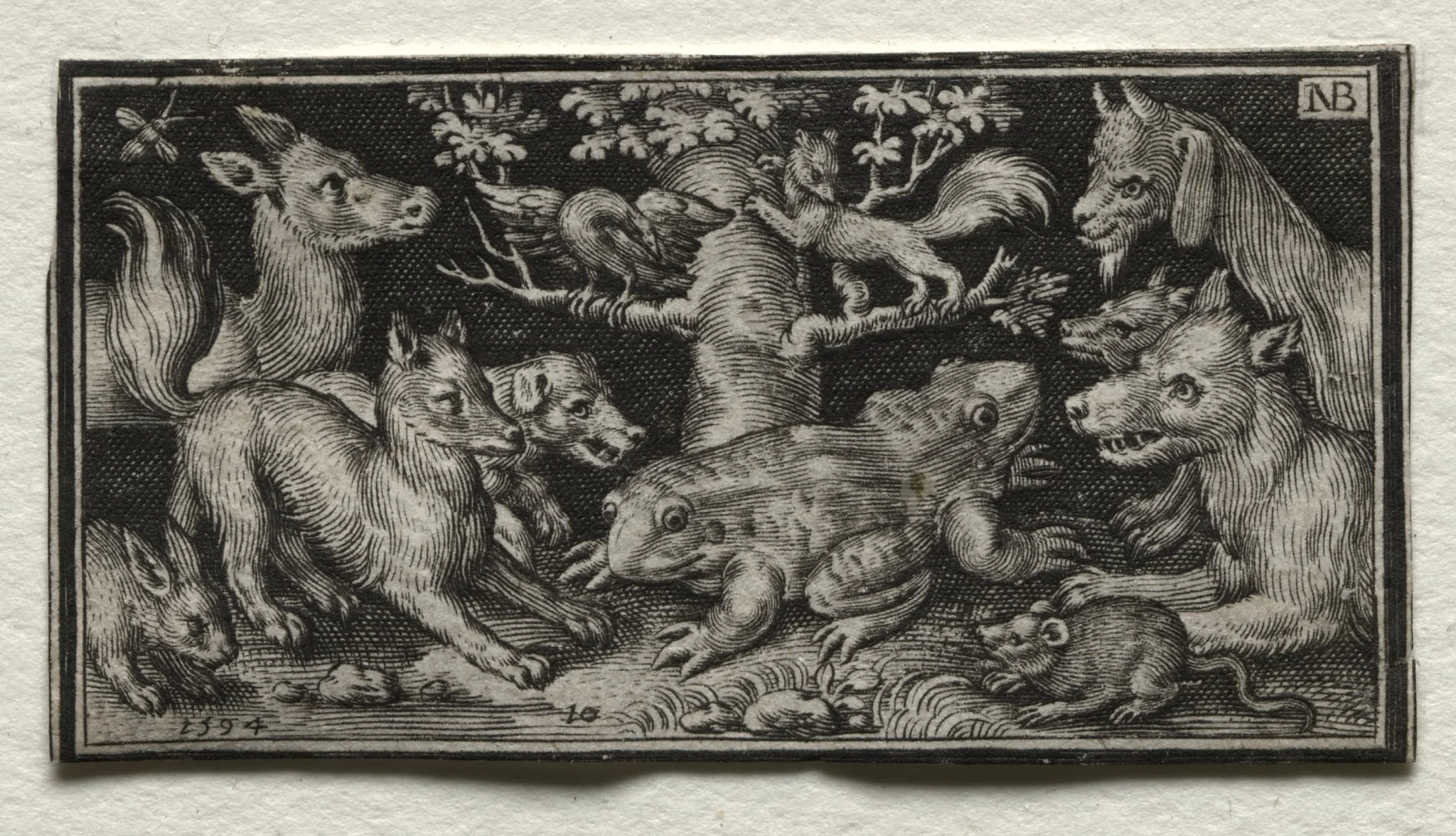 Two-headed Frog surrounded by Animals, by Nicolaes de Bruyn, 1594