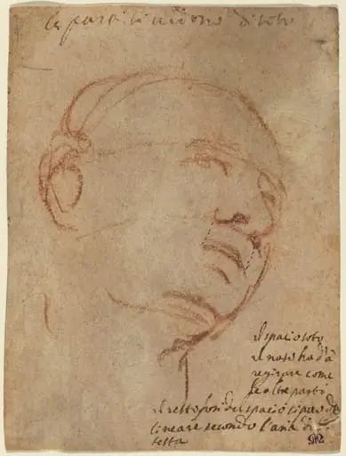 Head of a Man