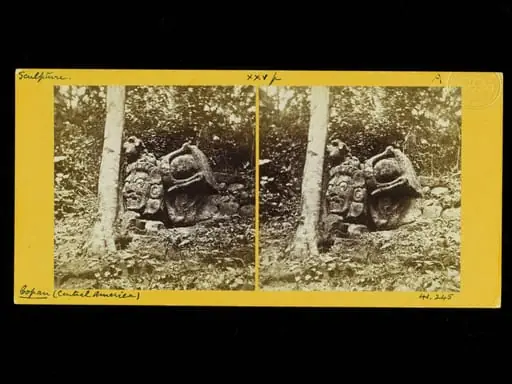Head with other sculptured stones