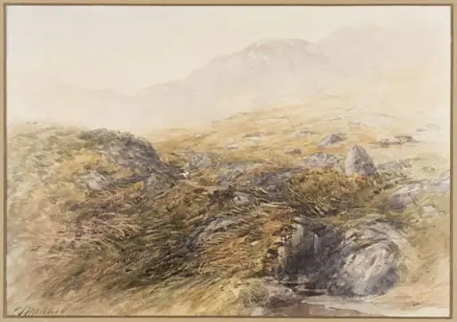 View Near Bettws-y-Coed