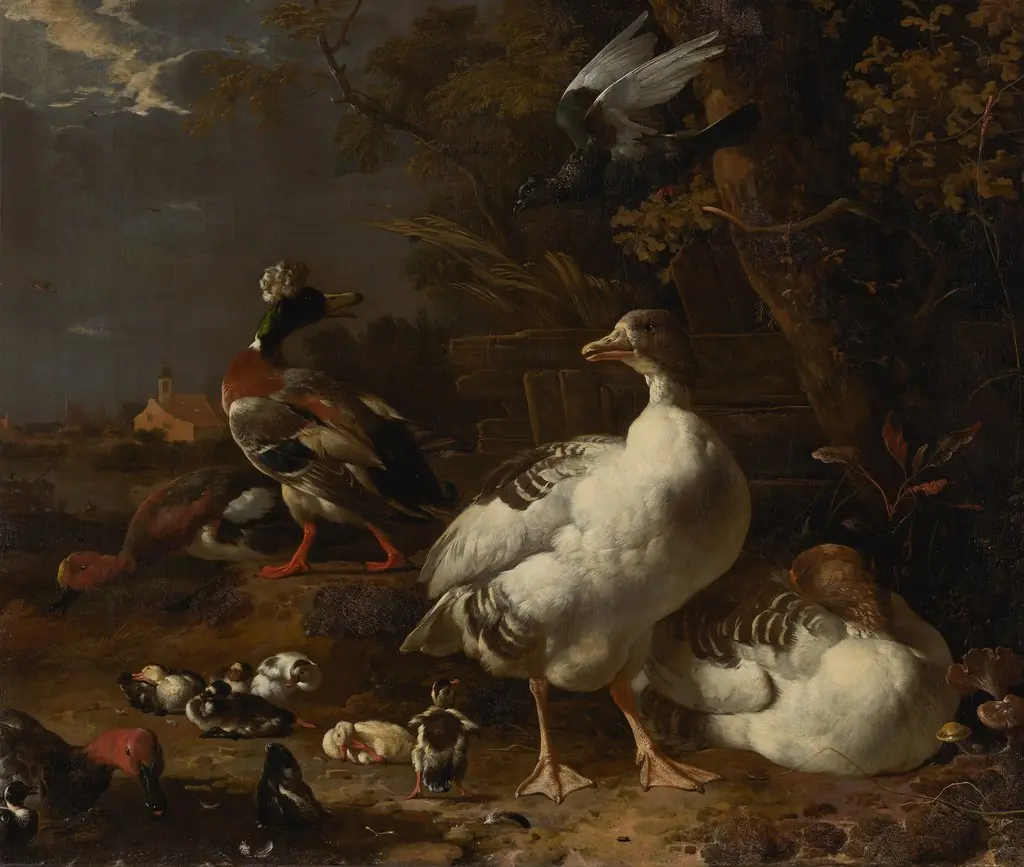 Geese and Ducks