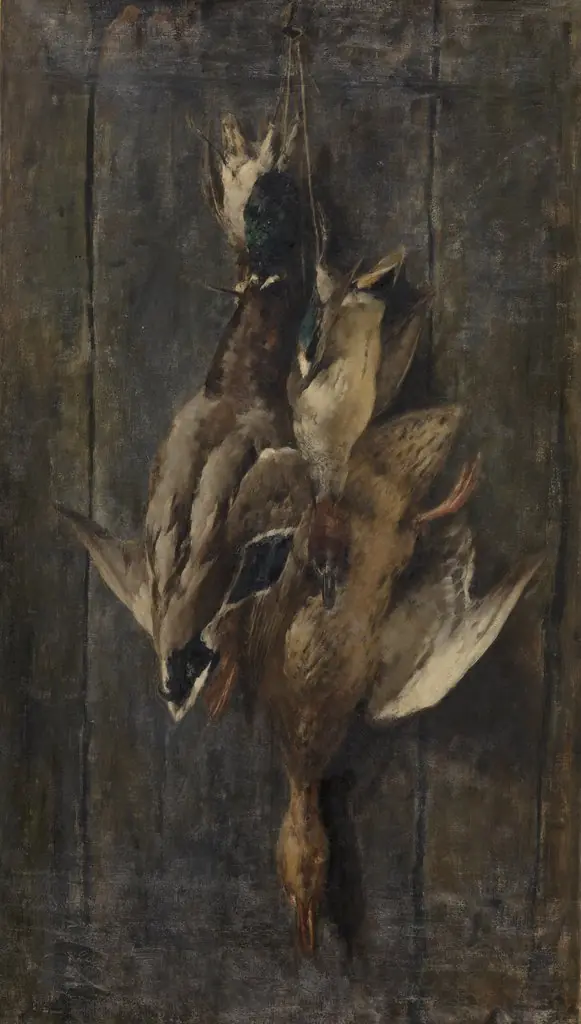 Waterfowl