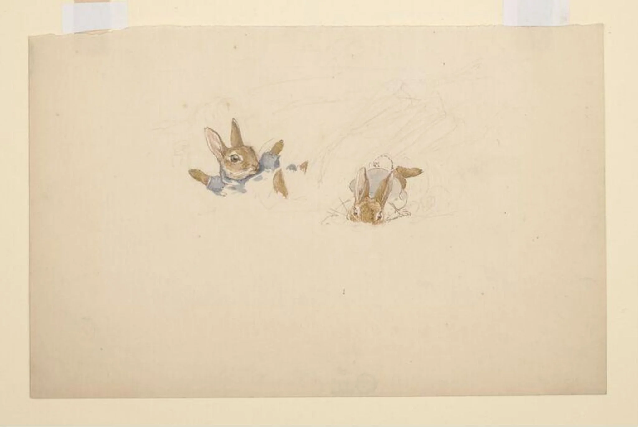 Rabbits falling into snow