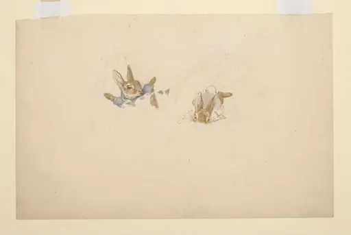 Rabbits falling into snow