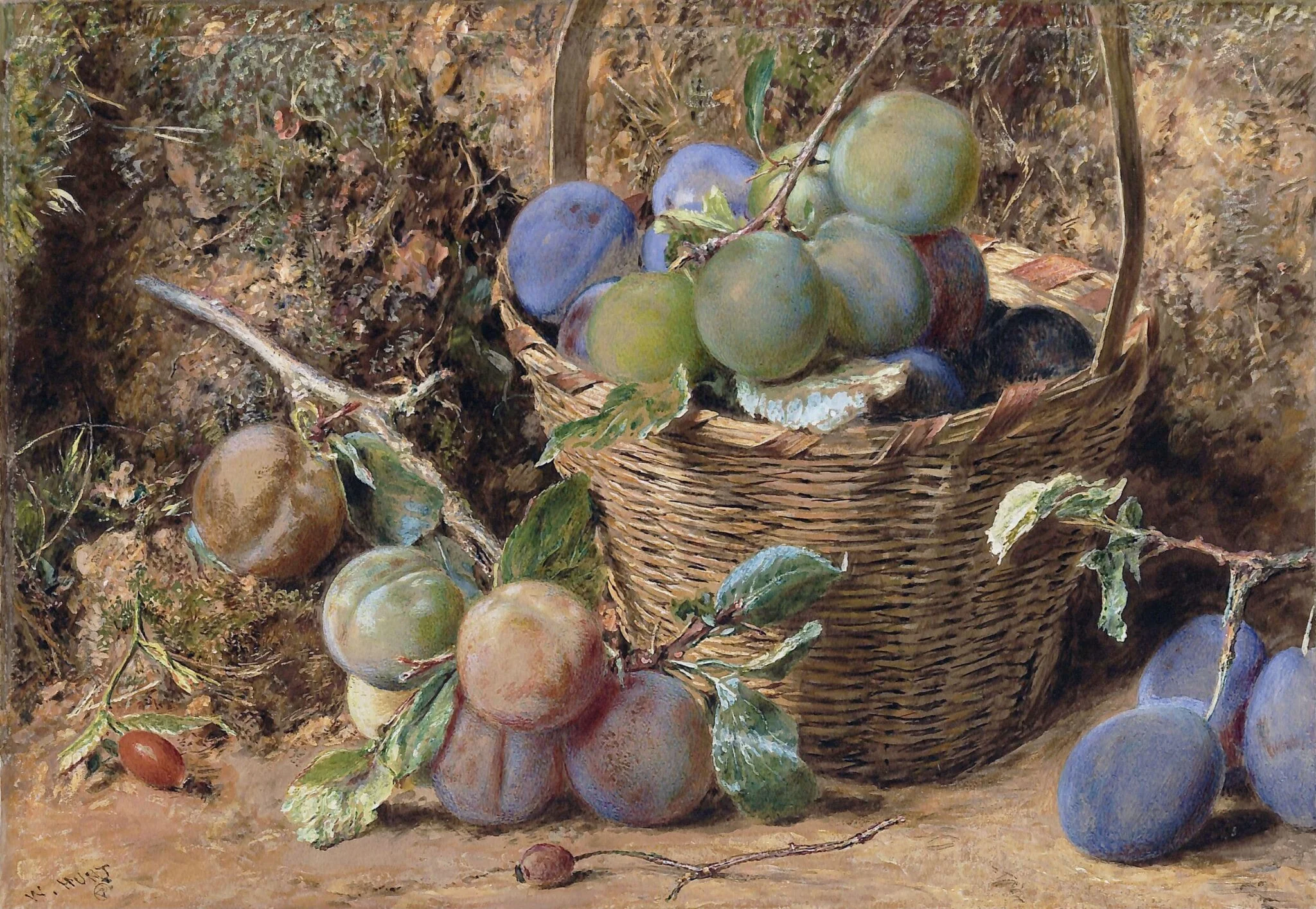 Plums, by William Henry Hunt, watercolor, 1850