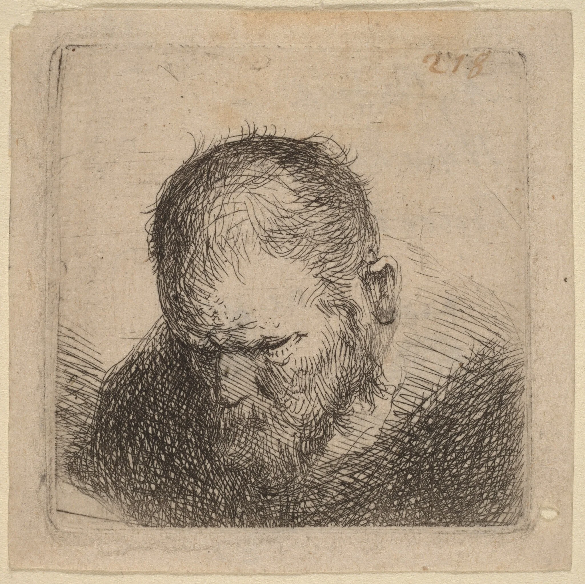 Bearded Man Looking Down, by Dutch 17th Century, ink, 1631