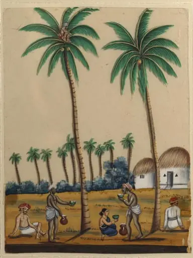 A toddy-tapper