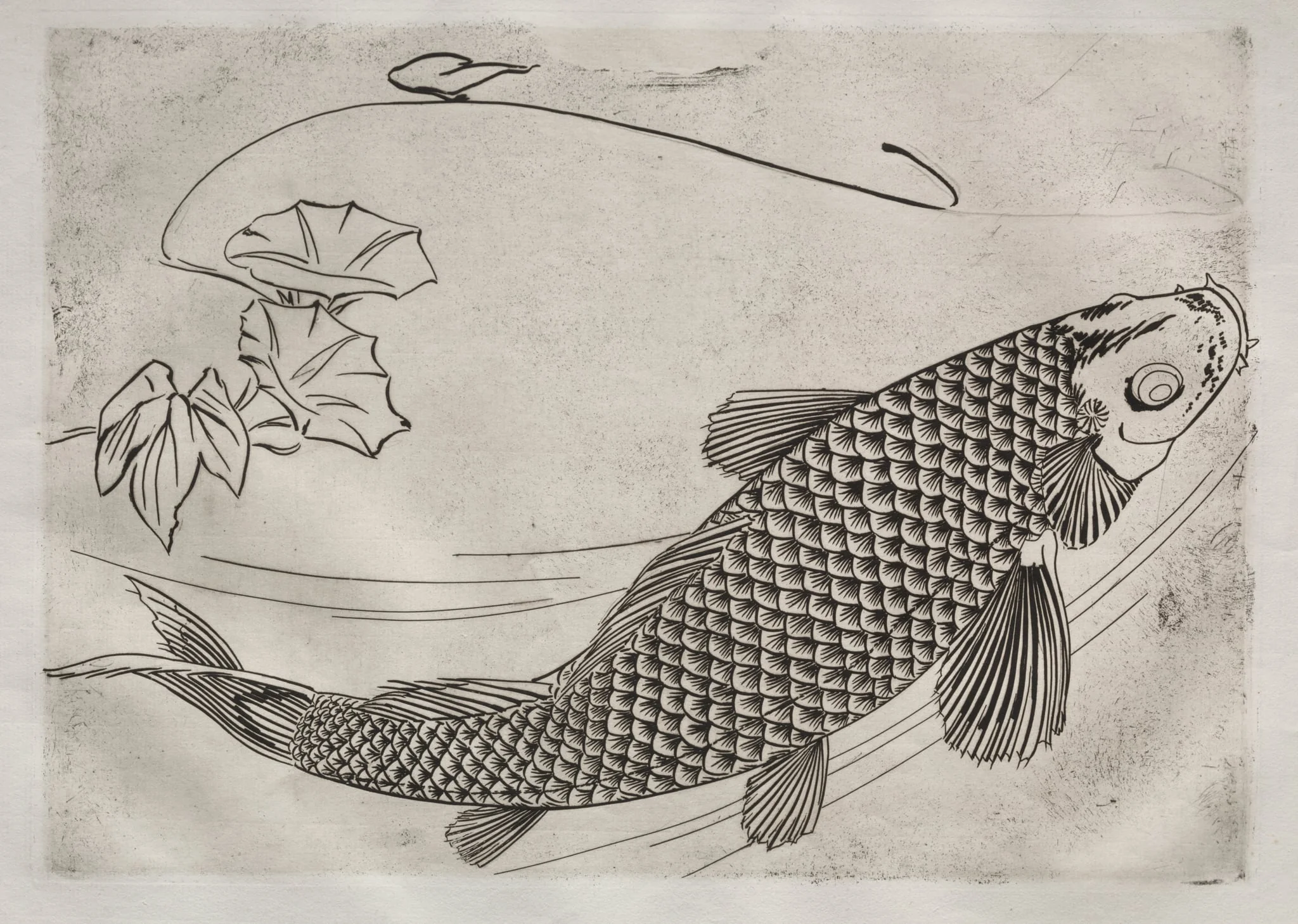 Dinner Service (Rousseau service): Large fish in a Japanese style (no. 19), by Félix Bracquemond, 1866