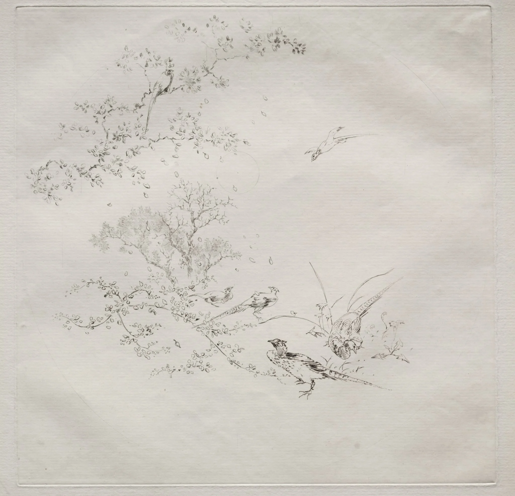 Parisian Service (Haviland service), by Félix Bracquemond, 1875