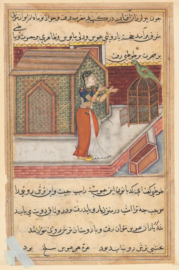 The parrot addresses Khujasta at the beginning of the forty-ninth night, from a Tuti-nama (Tales of a Parrot): Forty-Ninth Night
