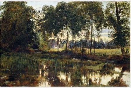 A View of Rye Water near Leixlip