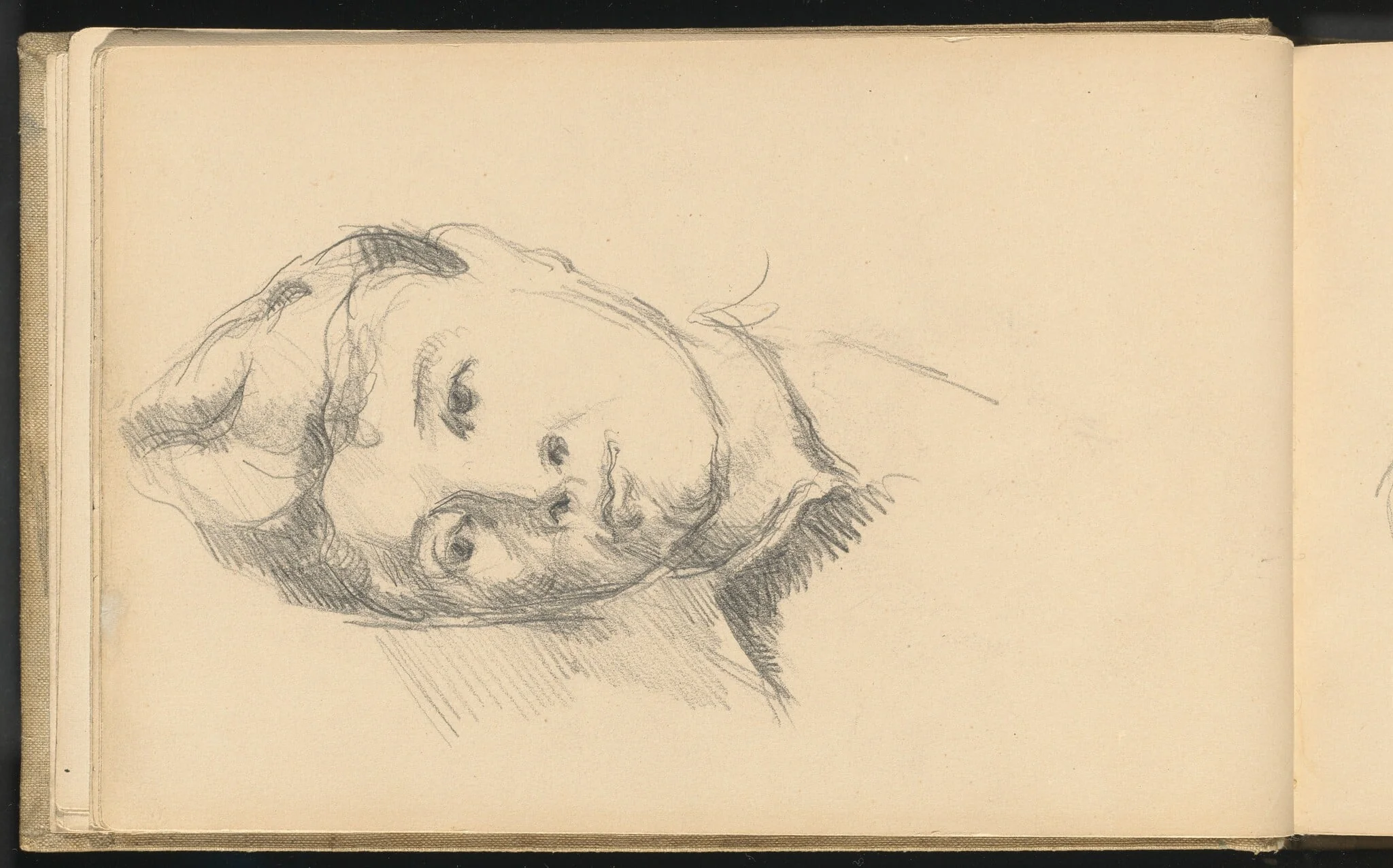 Madame Cezanne