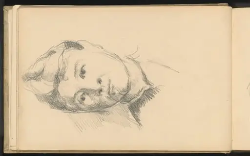 Madame Cezanne