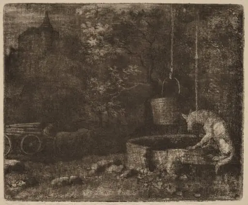 The Wolf and the Well