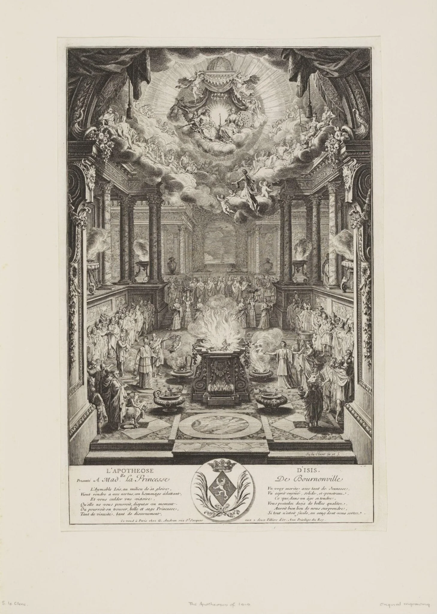 H Beard Print Collection