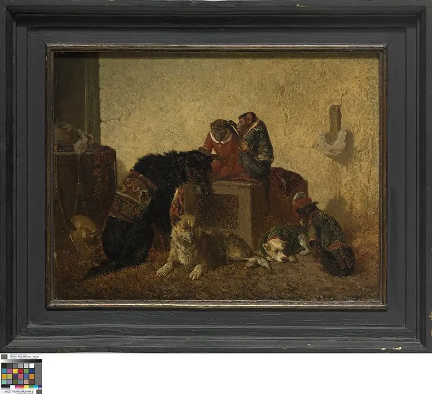 Apen en honden