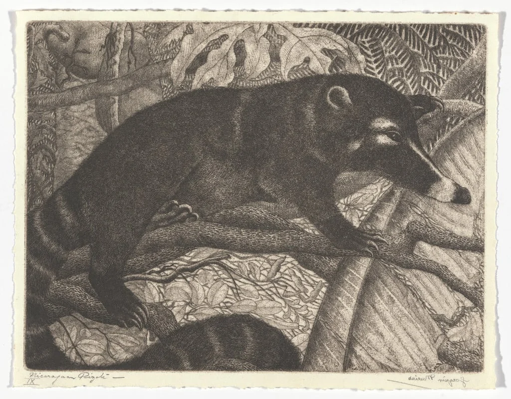 Untitled, by Joaquín Macías, ink, 1940