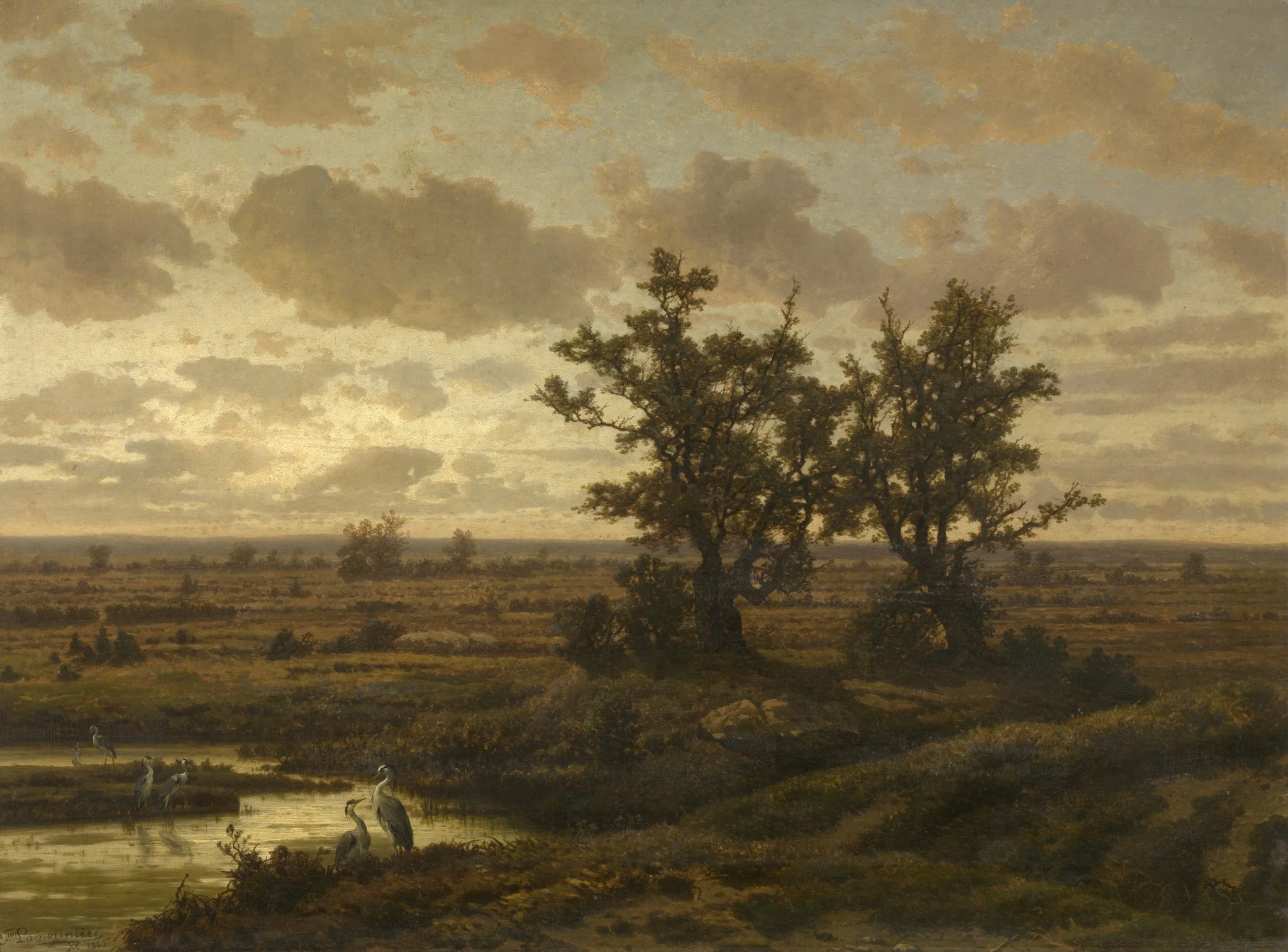 Fen in the Kempen