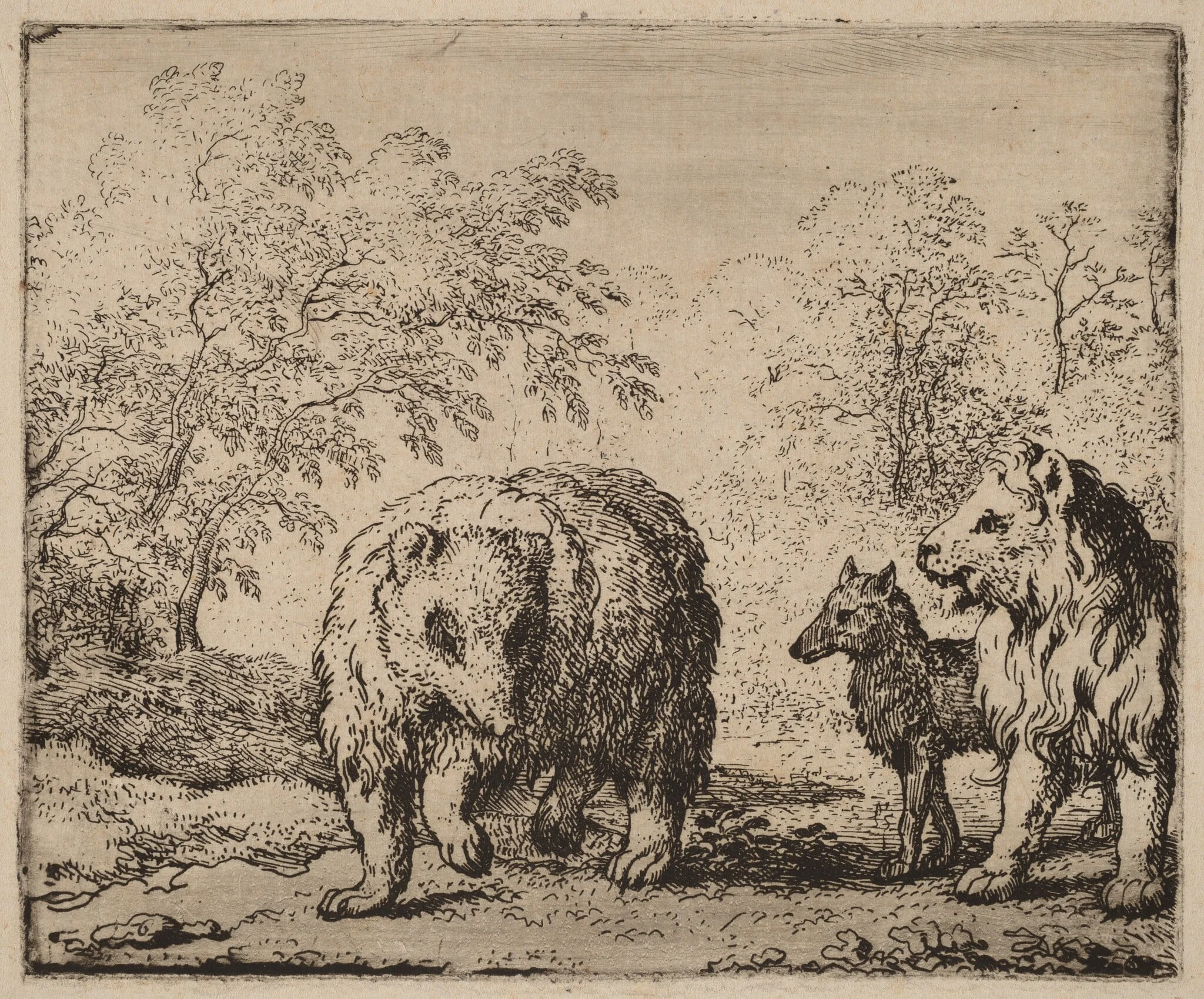 The Lion Frees the Bear and the Wolf, by Allart van Everdingen, ink, 1650