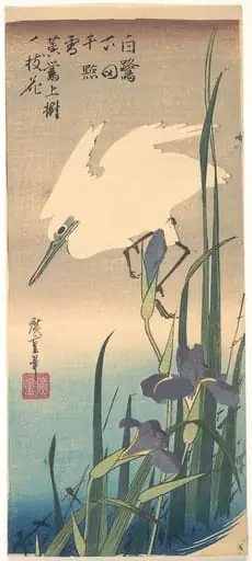 花菖蒲に白鷺|White Heron and Iris
