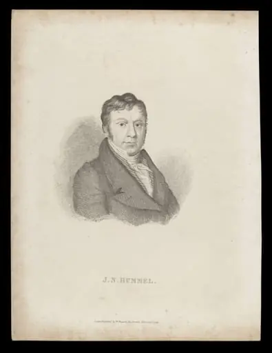 H Beard Print Collection