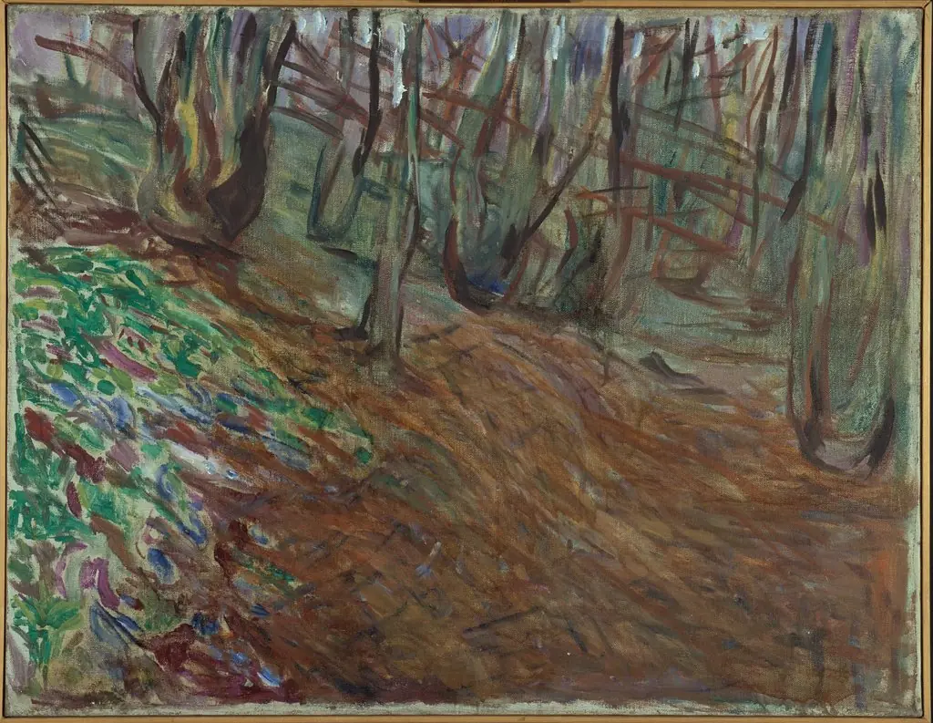 Elm Forest in Spring