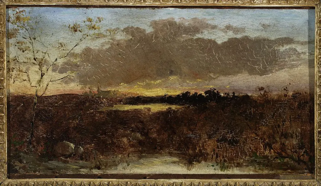 View of marshes at sunset