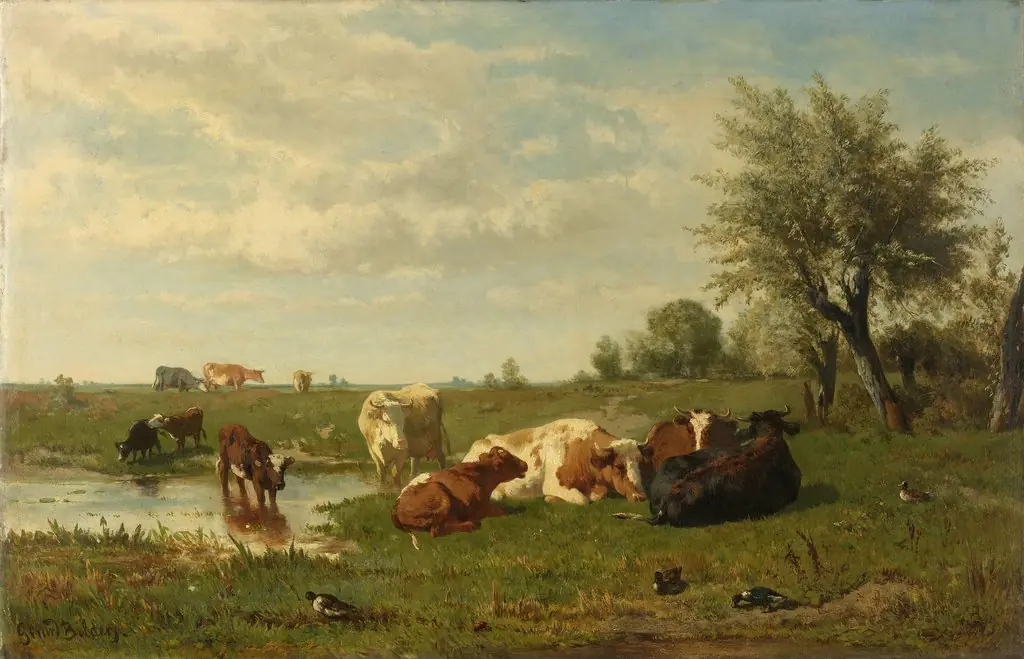 Cows in the meadow