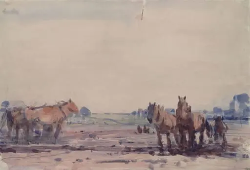 Plough Horses