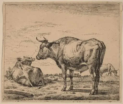 Standing Bull