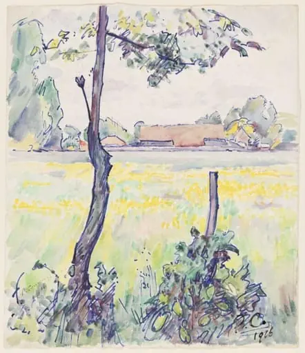 Buttercups