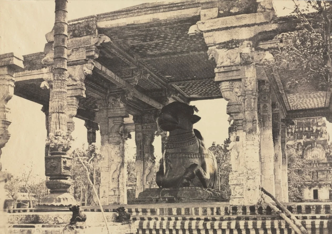Great Pagoda, Great Bull, Front View, Tanjore, India (Rajarajeshvara Temple), plate 12 from Photographic Views of Tanjore and Trivady (Madras: Madras Presidency)