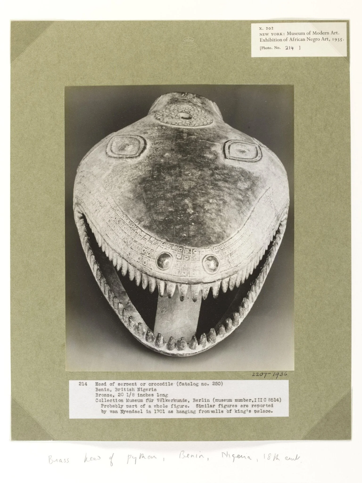 Snake's Head.  Benin., by Walker Evans, photographic, 1935