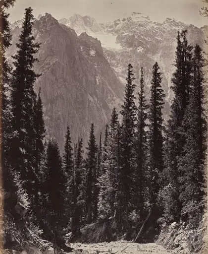 The Upper Himmalayahs. View in the Manga Valley