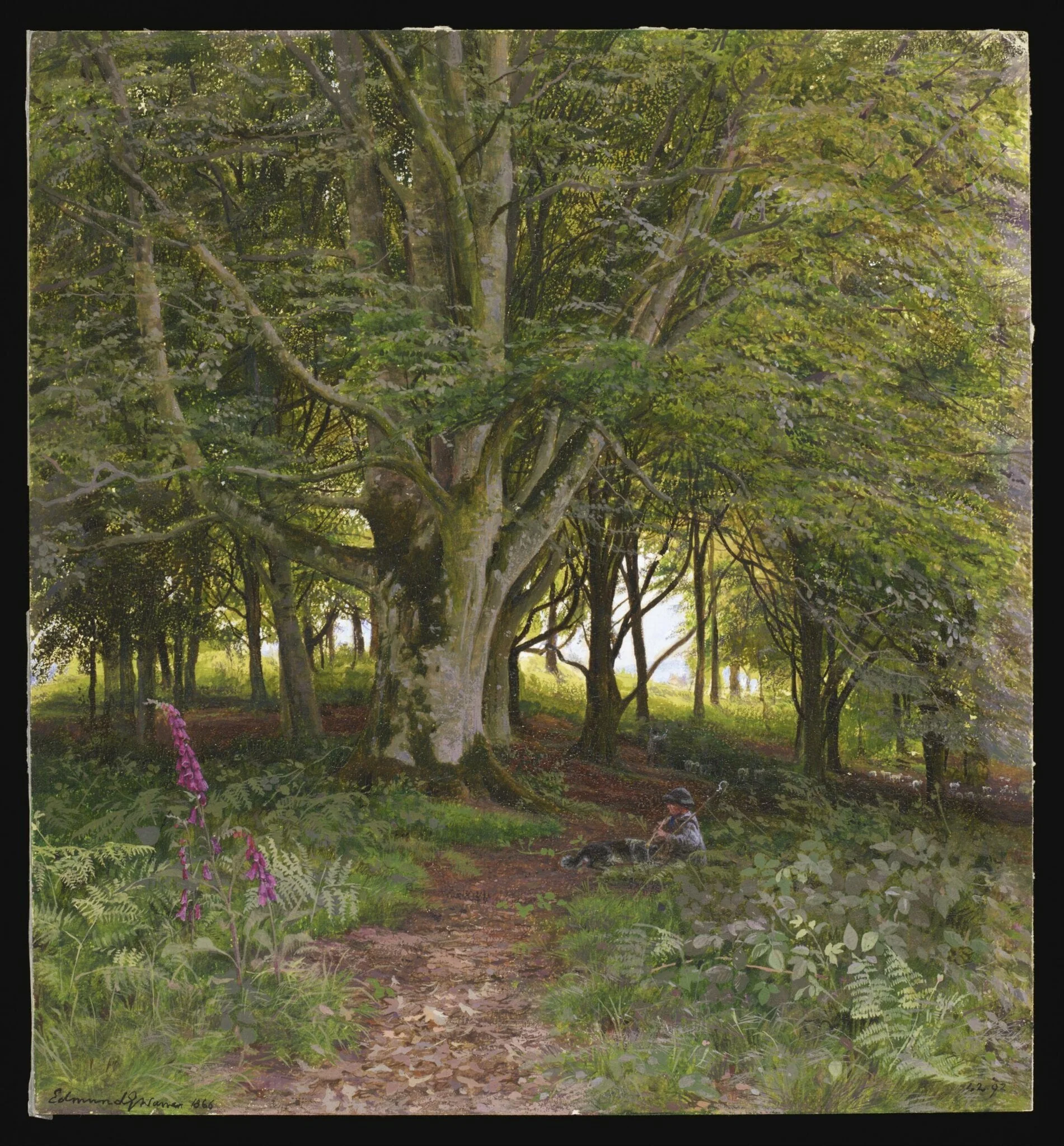 In the Wood, by Edmund Warren, watercolor, 1866