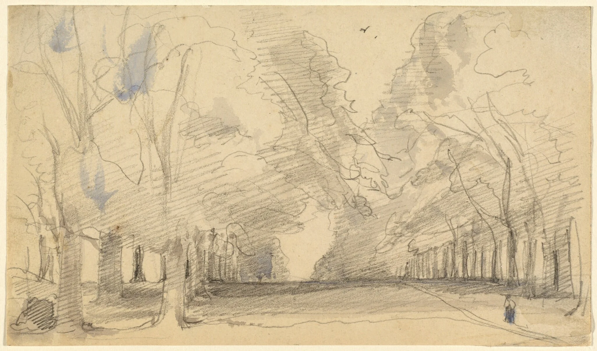 Avenue of Trees