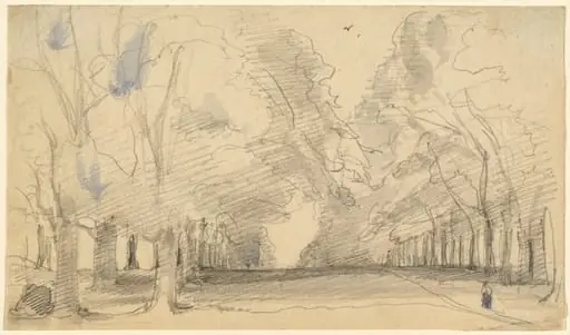 Avenue of Trees