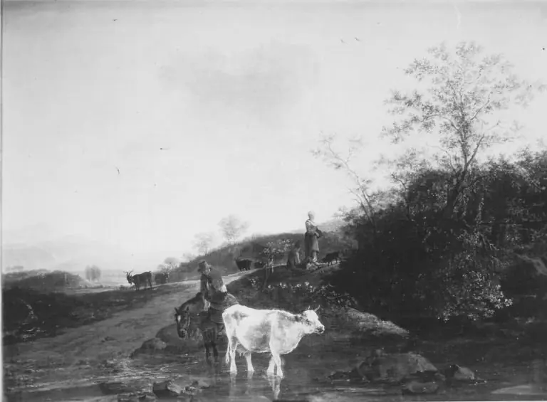 Evening Landscape