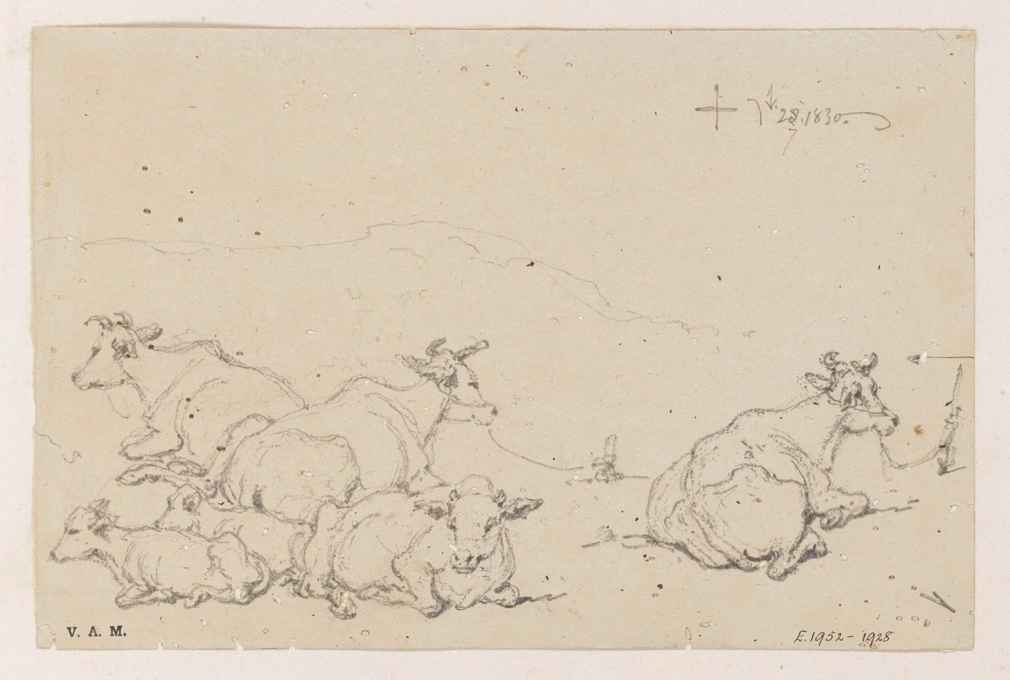 Studies of cows, by George Chinnery, 1830