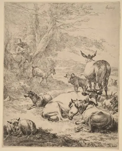 Resting Herd
