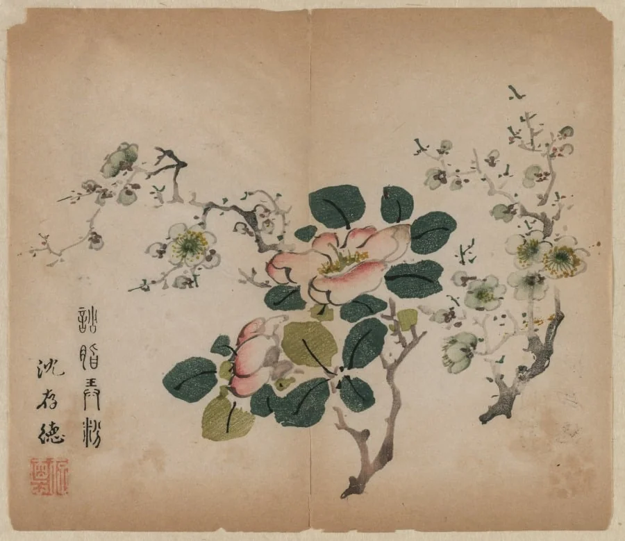 Flowering Prunus, by Unknown, 1506