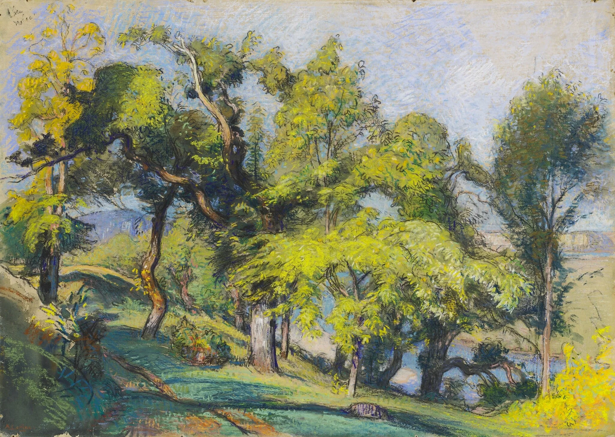 Chestnut Trees above a River
