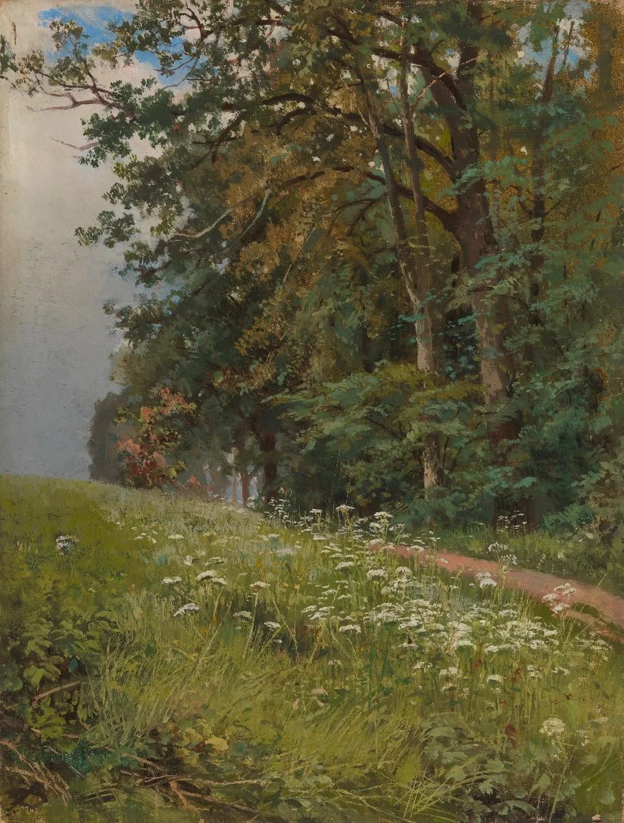 Maisema