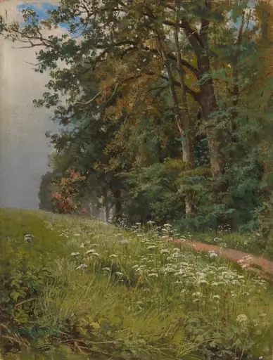 Maisema