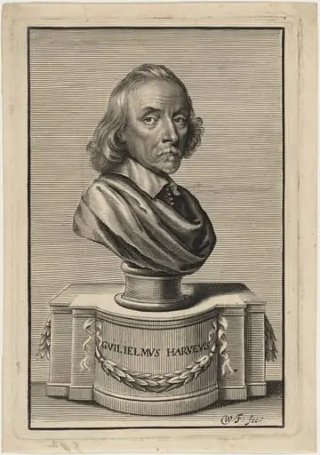 William Harvey, M.D.