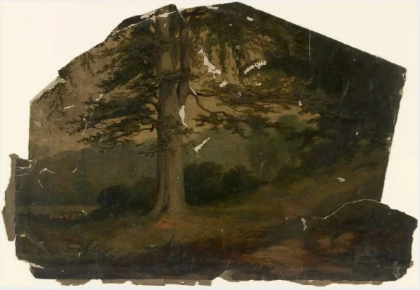 A Cedar of Lebanon, by William Howis junior, unspecified, 1852