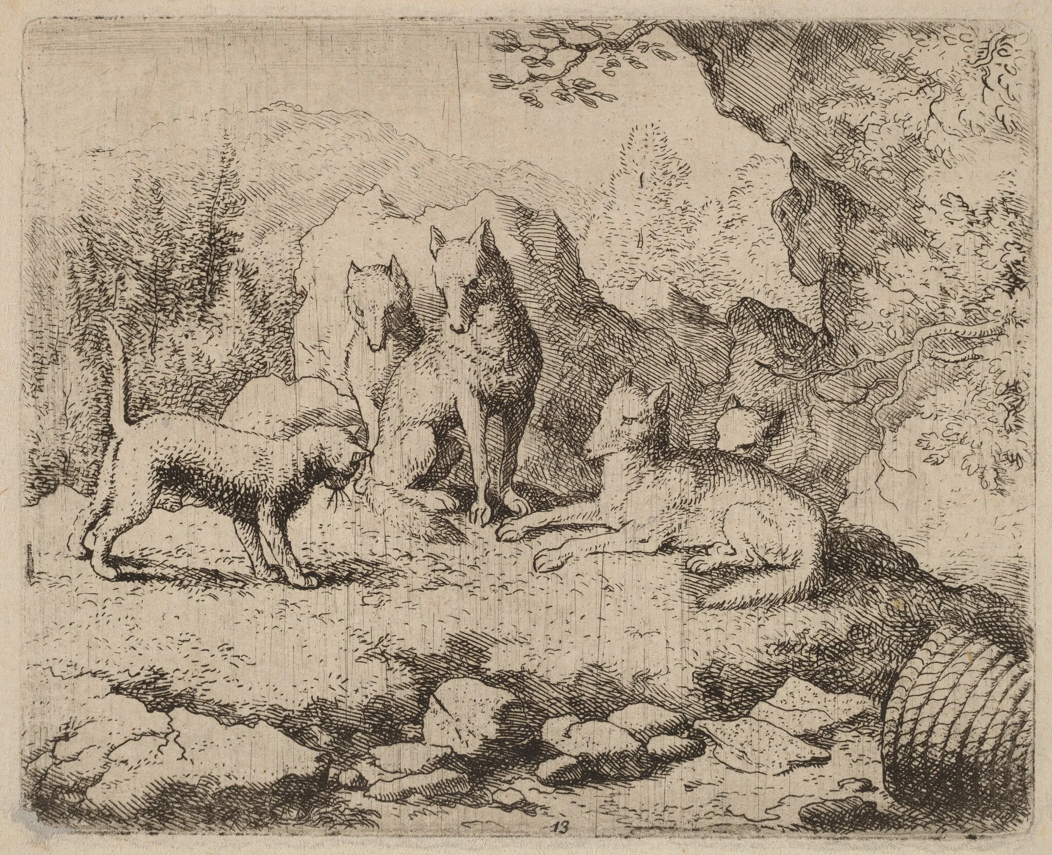 The Cat Sent as Messenger
